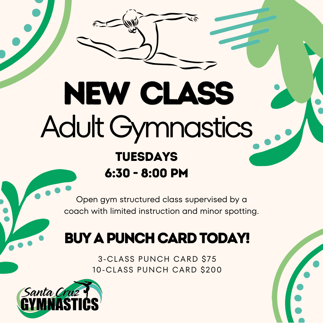 NEW! Adult Gymnastics Class Flyer (2)